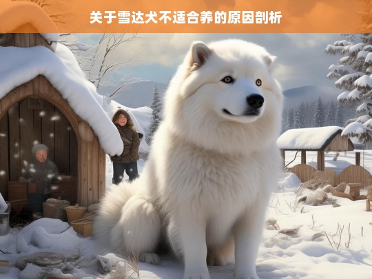 关于雪达犬不适合养的原因剖析