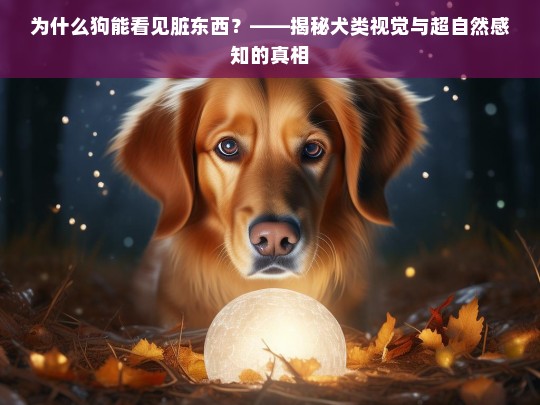 为什么狗能看见脏东西？——揭秘犬类视觉与超自然感知的真相