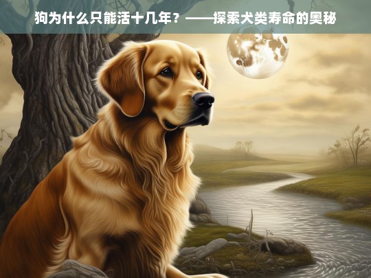 狗为什么只能活十几年？——探索犬类寿命的奥秘