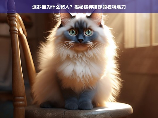 暹罗猫为什么粘人？揭秘这种猫咪的独特魅力