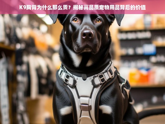 K9胸背为什么那么贵？揭秘高品质宠物用品背后的价值