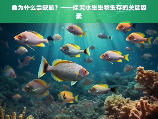 鱼为什么会缺氧？——探究水生生物生存的关键因素