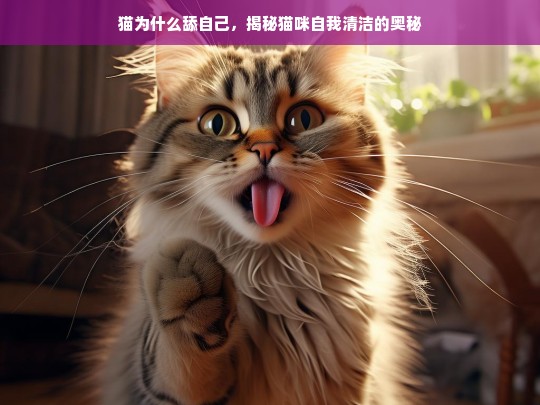 猫为什么舔自己，揭秘猫咪自我清洁的奥秘