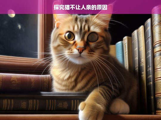 探究猫不让人亲的原因