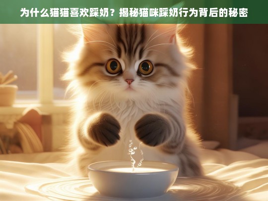 为什么猫猫喜欢踩奶？揭秘猫咪踩奶行为背后的秘密