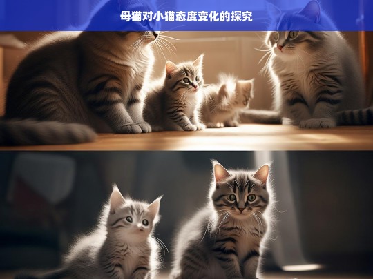 母猫对小猫态度变化的探究