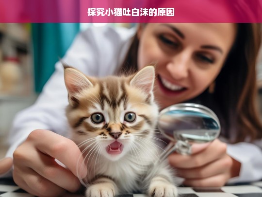 探究小猫吐白沫的原因