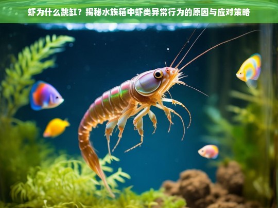 虾为什么跳缸？揭秘水族箱中虾类异常行为的原因与应对策略