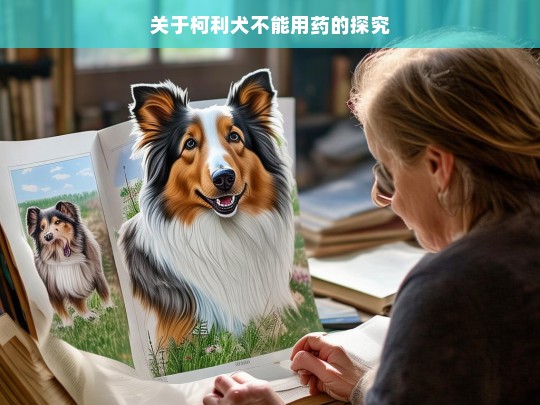 关于柯利犬不能用药的探究