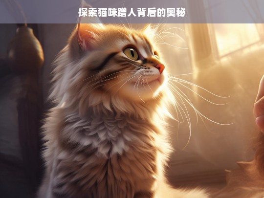 探索猫咪蹭人背后的奥秘