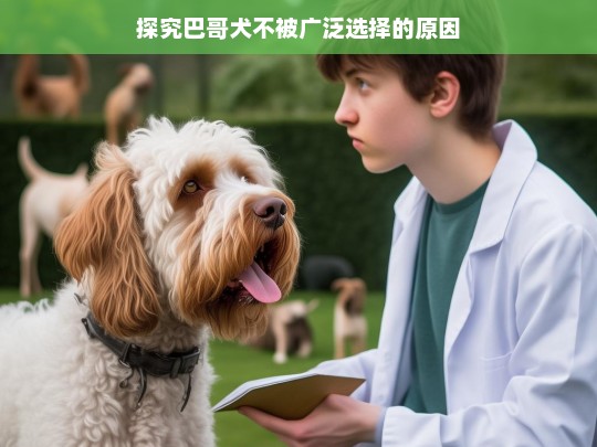 探究巴哥犬不被广泛选择的原因