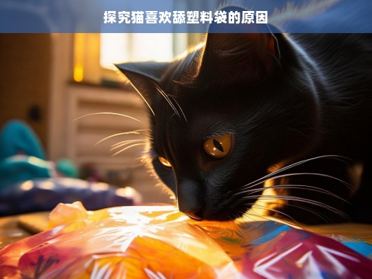 探究猫喜欢舔塑料袋的原因