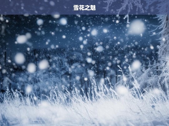 雪花之魅