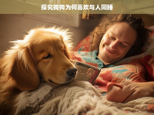 探究狗狗为何喜欢与人同睡