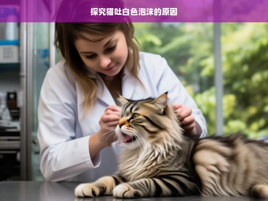 探究猫吐白色泡沫的原因