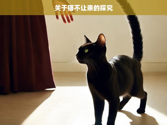 关于猫不让亲的探究