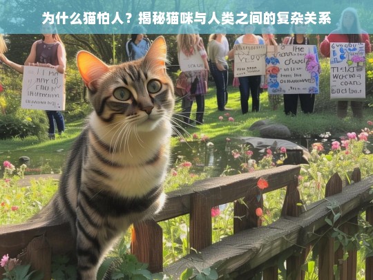 为什么猫怕人？揭秘猫咪与人类之间的复杂关系