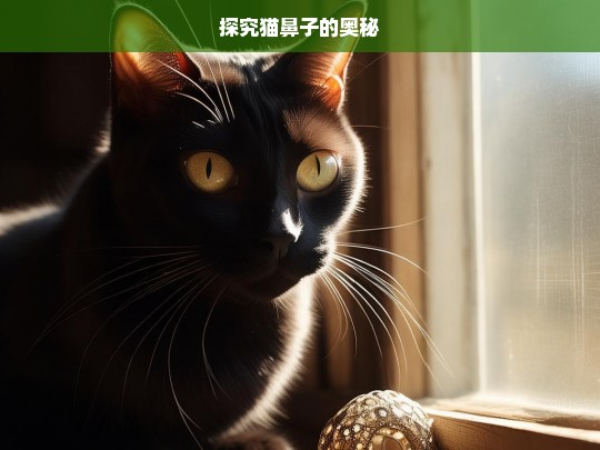 探究猫鼻子的奥秘