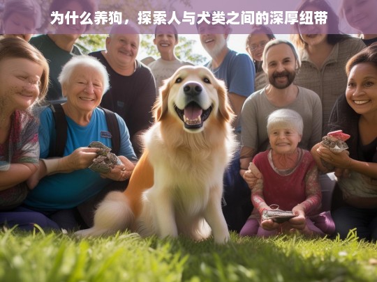 为什么养狗，探索人与犬类之间的深厚纽带