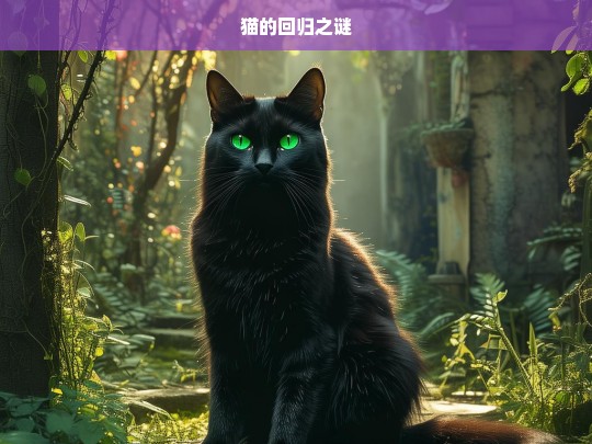 猫的回归之谜