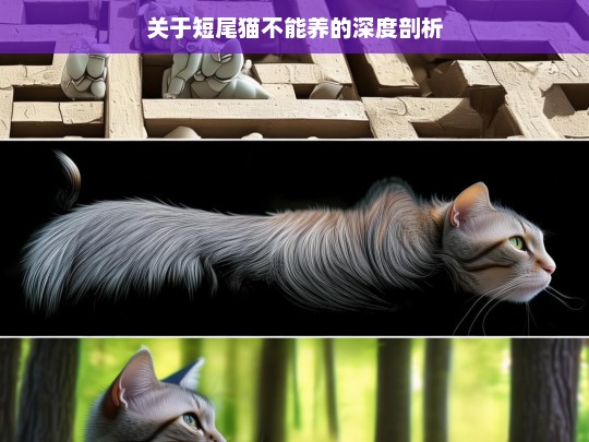 关于短尾猫不能养的深度剖析