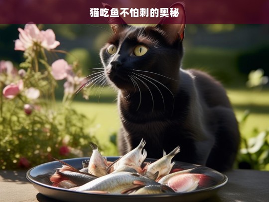 猫吃鱼不怕刺的奥秘