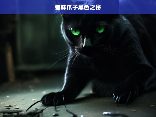 猫咪爪子黑色之秘