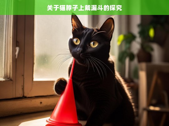 关于猫脖子上戴漏斗的探究