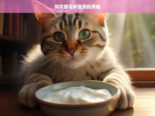 探究猫喜欢酸奶的奥秘