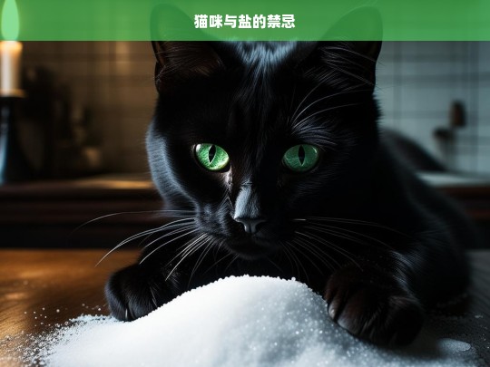 猫咪与盐的禁忌