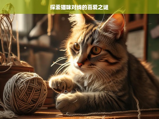 探索猫咪对线的喜爱之谜