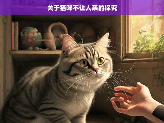 关于猫咪不让人亲的探究