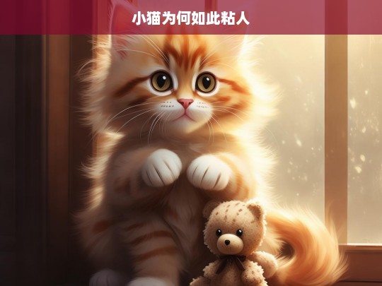 小猫为何如此粘人