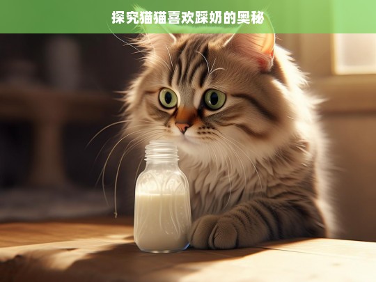 探究猫猫喜欢踩奶的奥秘