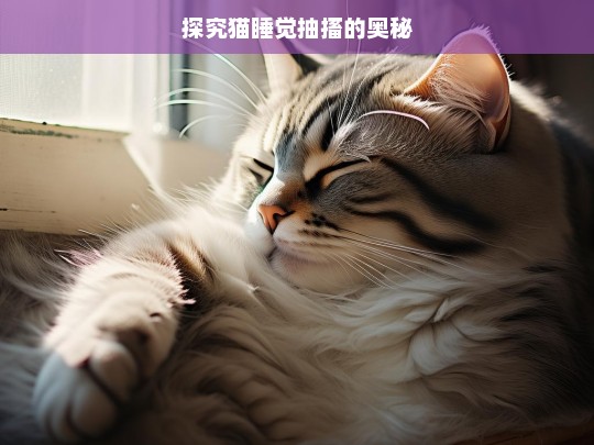 探究猫睡觉抽搐的奥秘