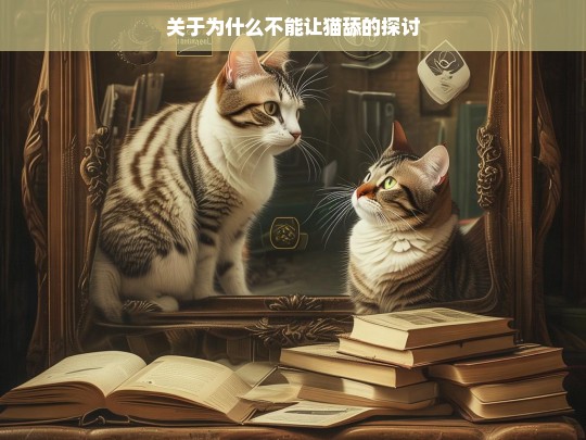 关于为什么不能让猫舔的探讨