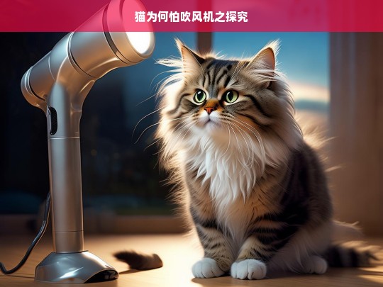 猫为何怕吹风机之探究