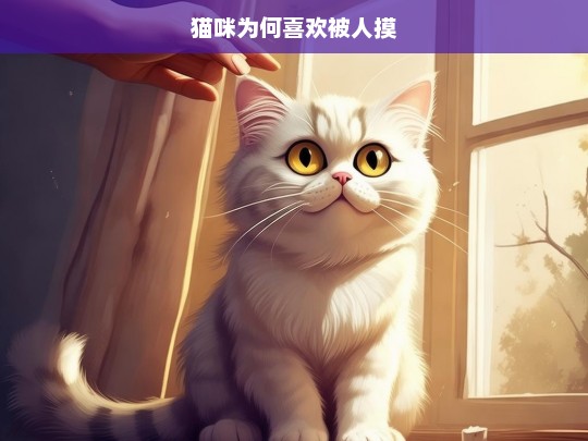 猫咪为何喜欢被人摸