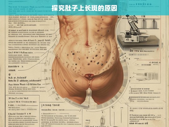 探究肚子上长斑的原因