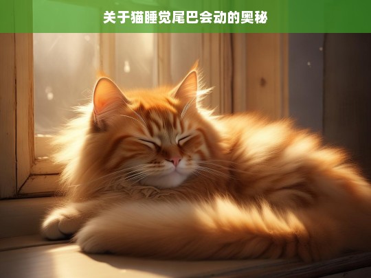 关于猫睡觉尾巴会动的奥秘