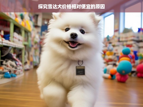 探究雪达犬价格相对便宜的原因