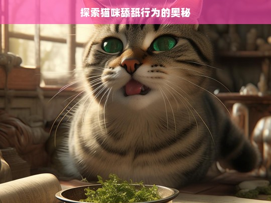 探索猫咪舔舐行为的奥秘