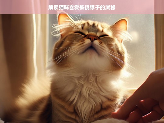 解读猫咪喜爱被挠脖子的奥秘