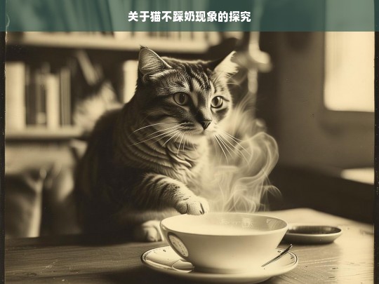 关于猫不踩奶现象的探究