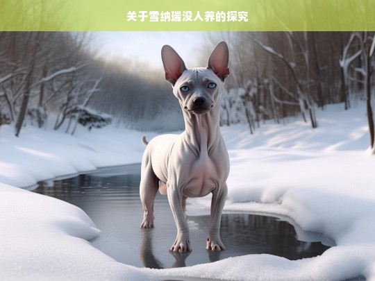 关于雪纳瑞没人养的探究