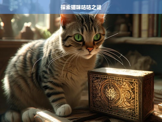 探索猫咪咕咕之谜