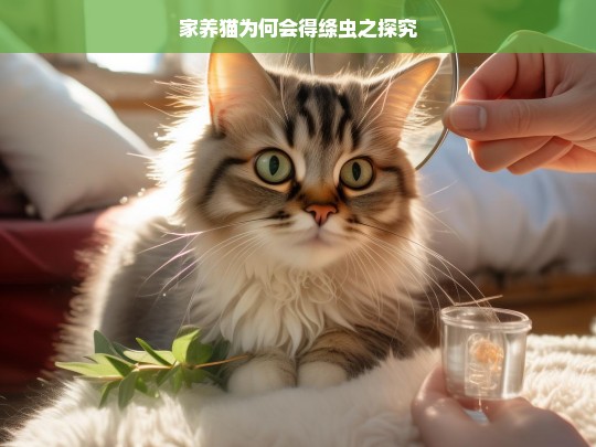 家养猫为何会得绦虫之探究