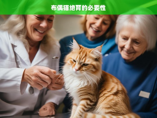 布偶猫绝育的必要性