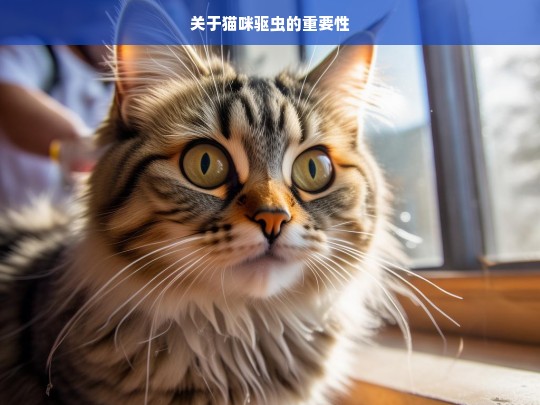 关于猫咪驱虫的重要性