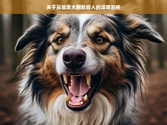 关于高加索犬翻脸咬人的深度剖析